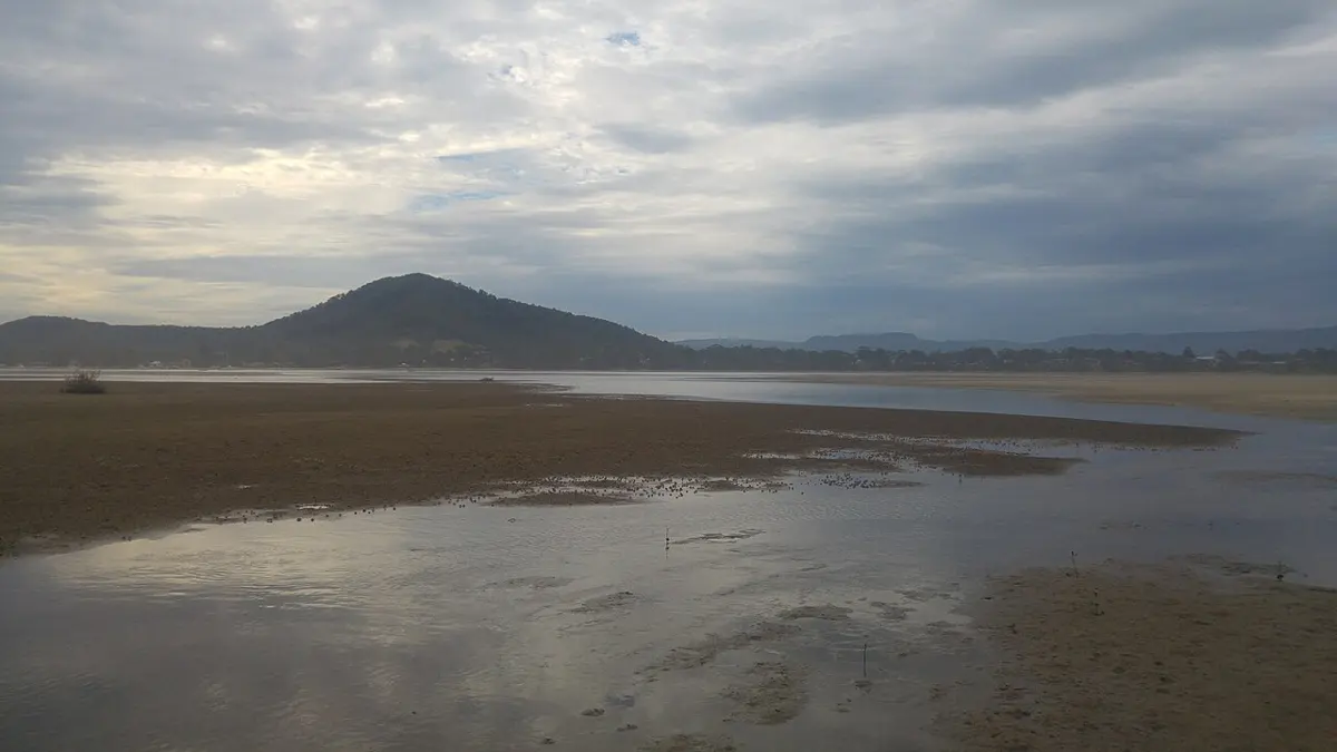 Coolangatta Mountain