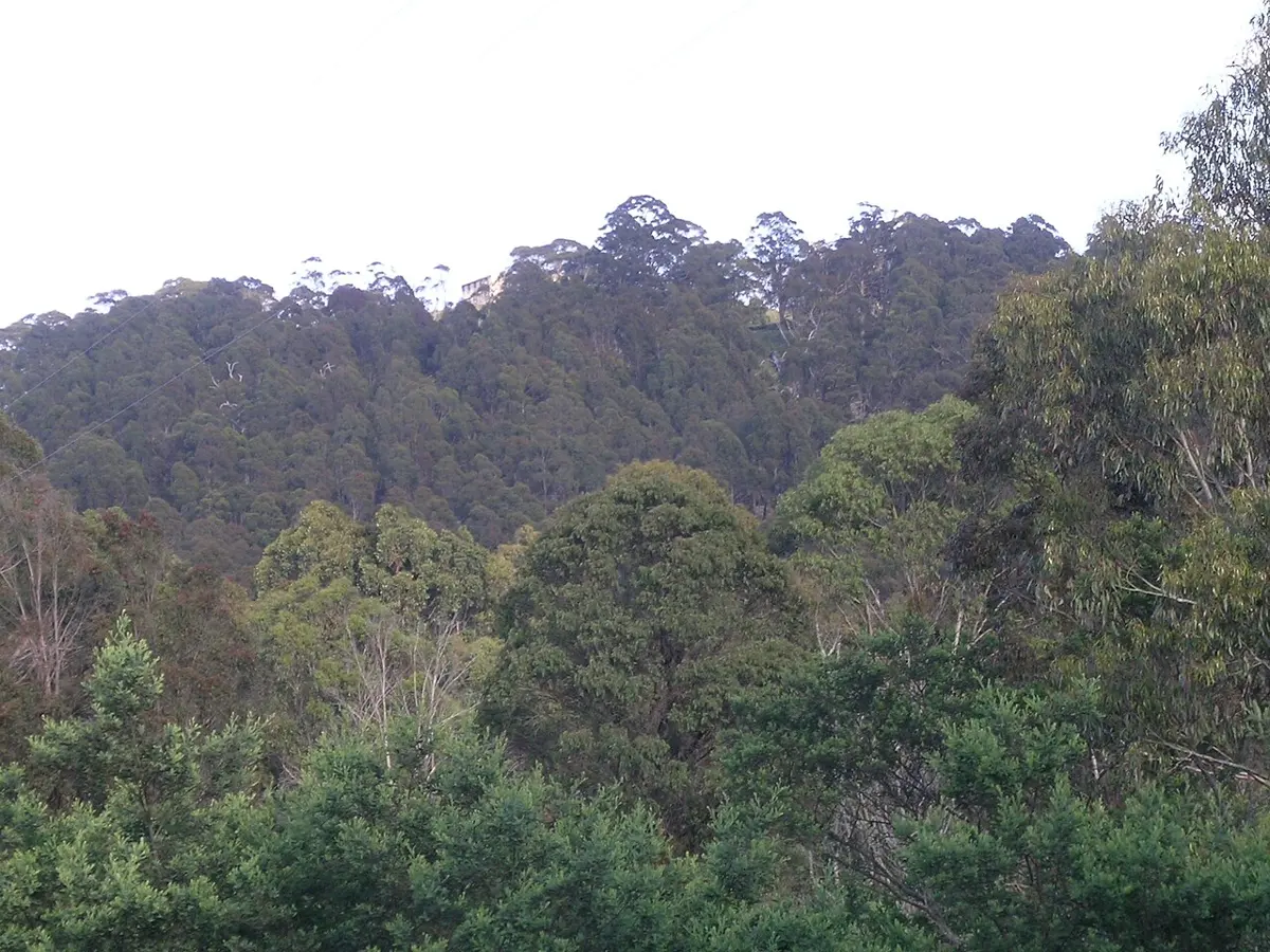 Round Mountain