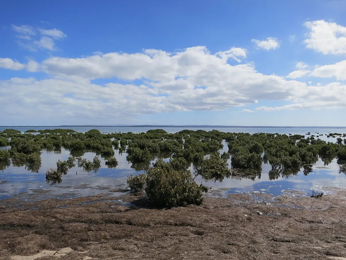 French Island National Park