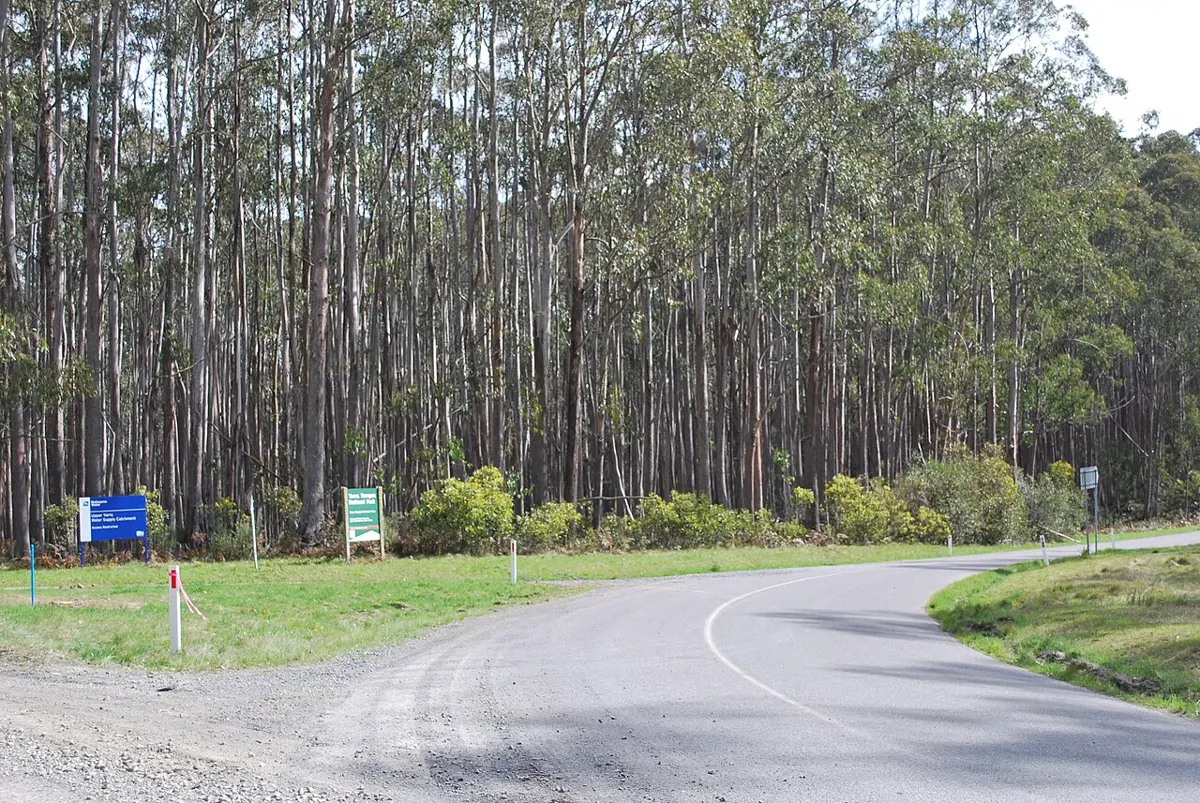 Yarra Ranges National Park