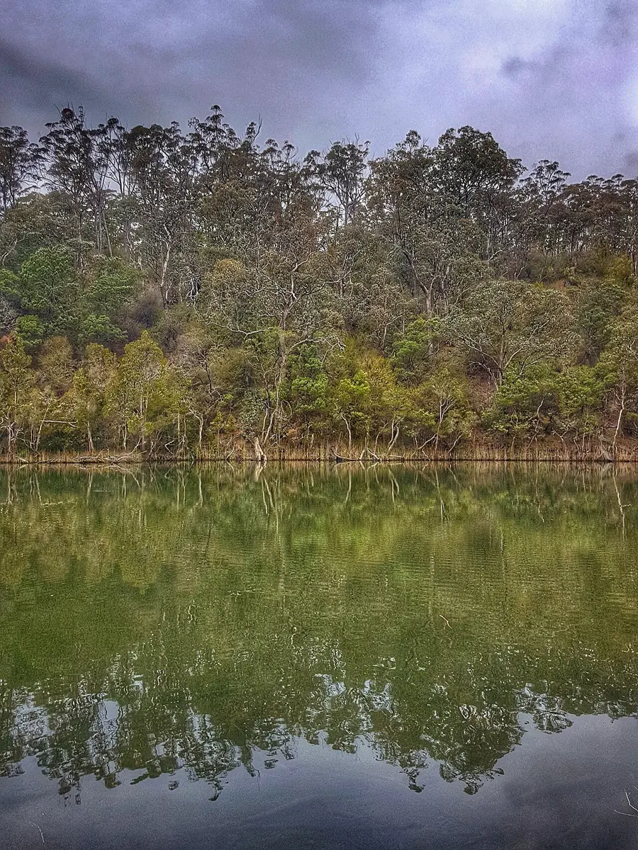 Lake Tyers State Park