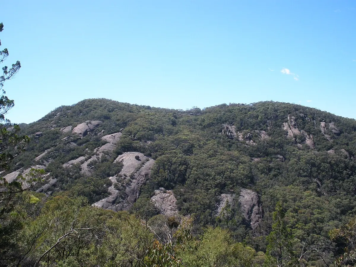 Burrowa – Pine Mountain National Park