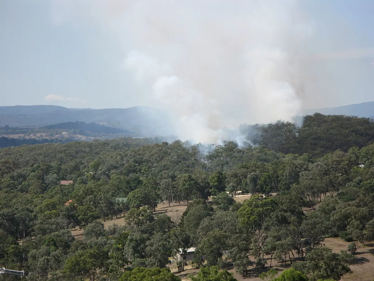 Warrandyte State Park