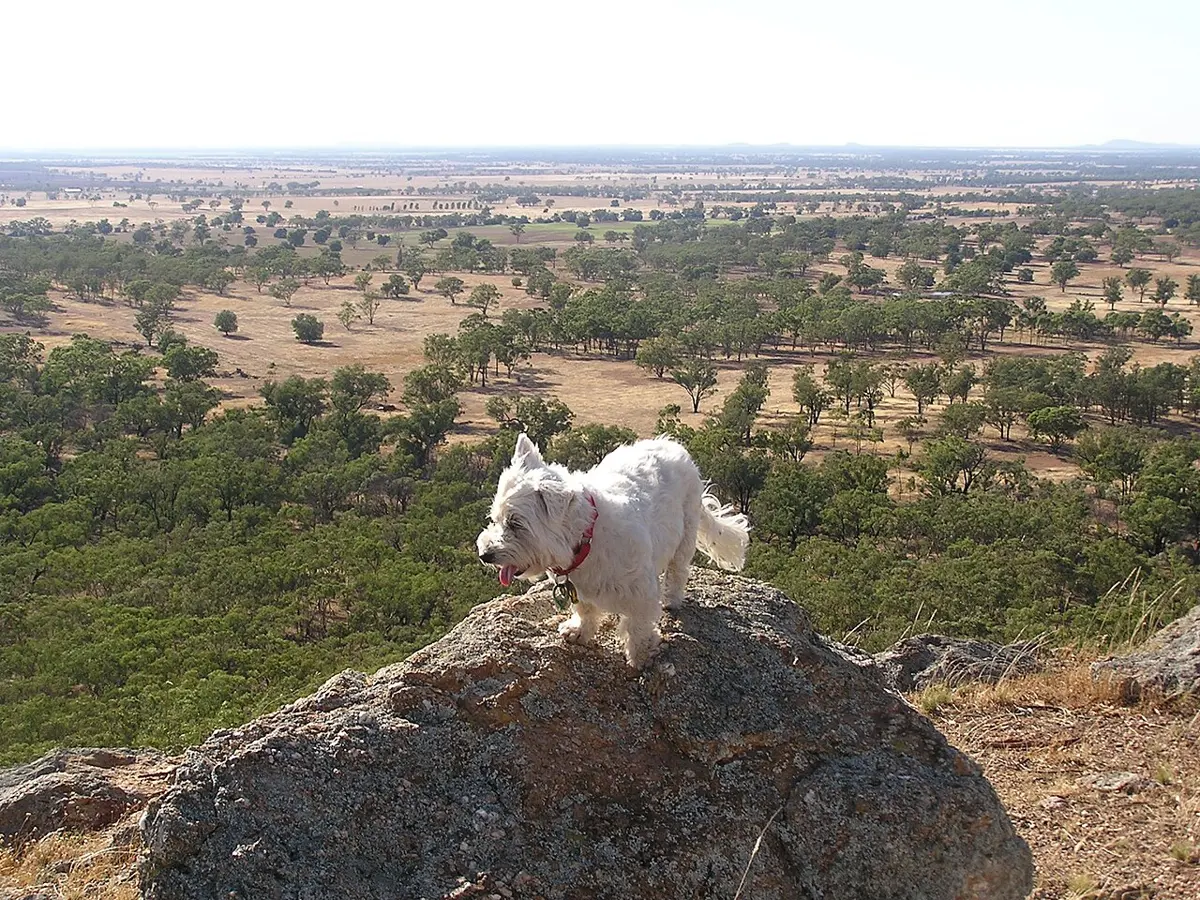 Mount Tilga