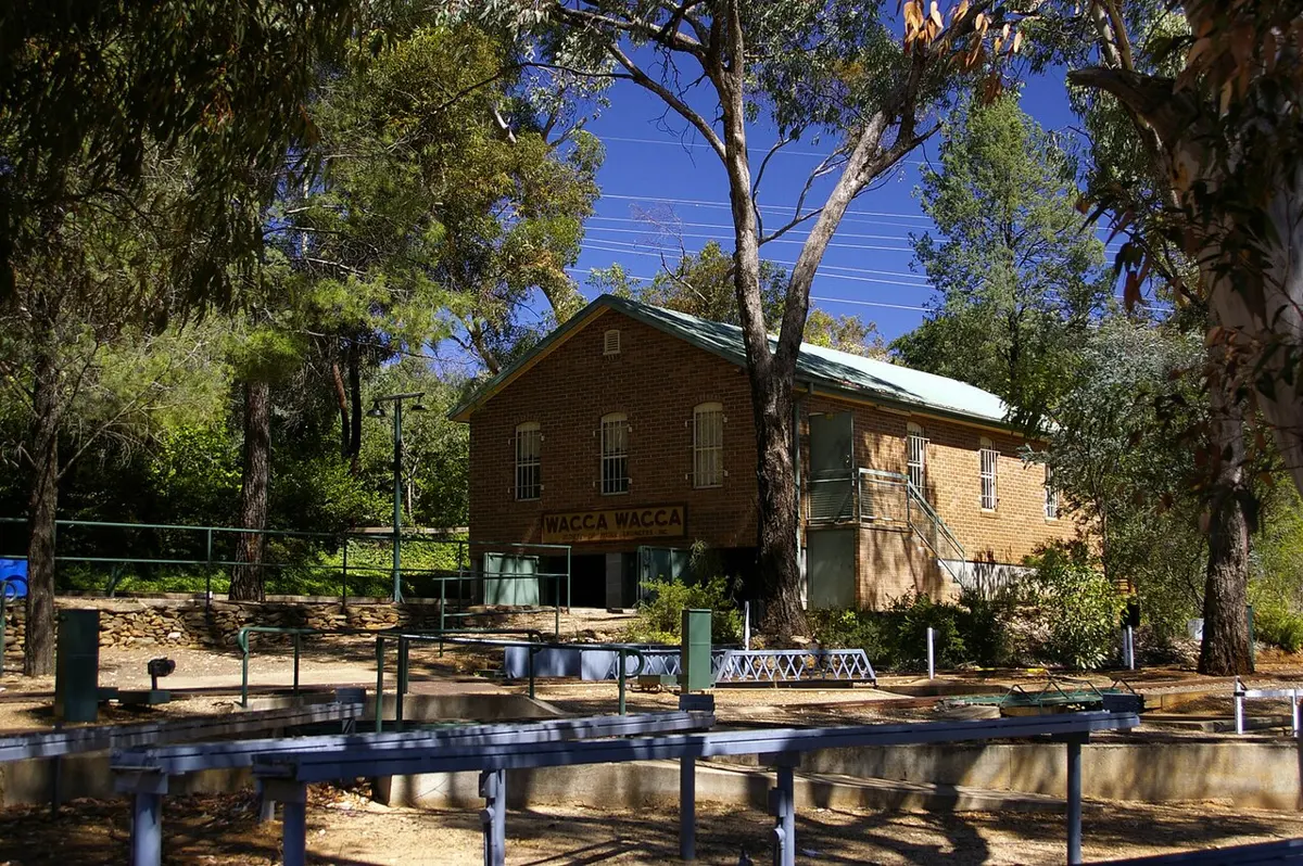 Willans Hill