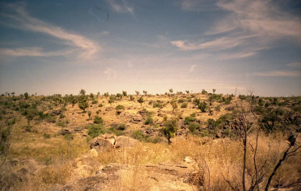 Australian Fossil Mammal Sites: Riversleigh World Heritage Area
