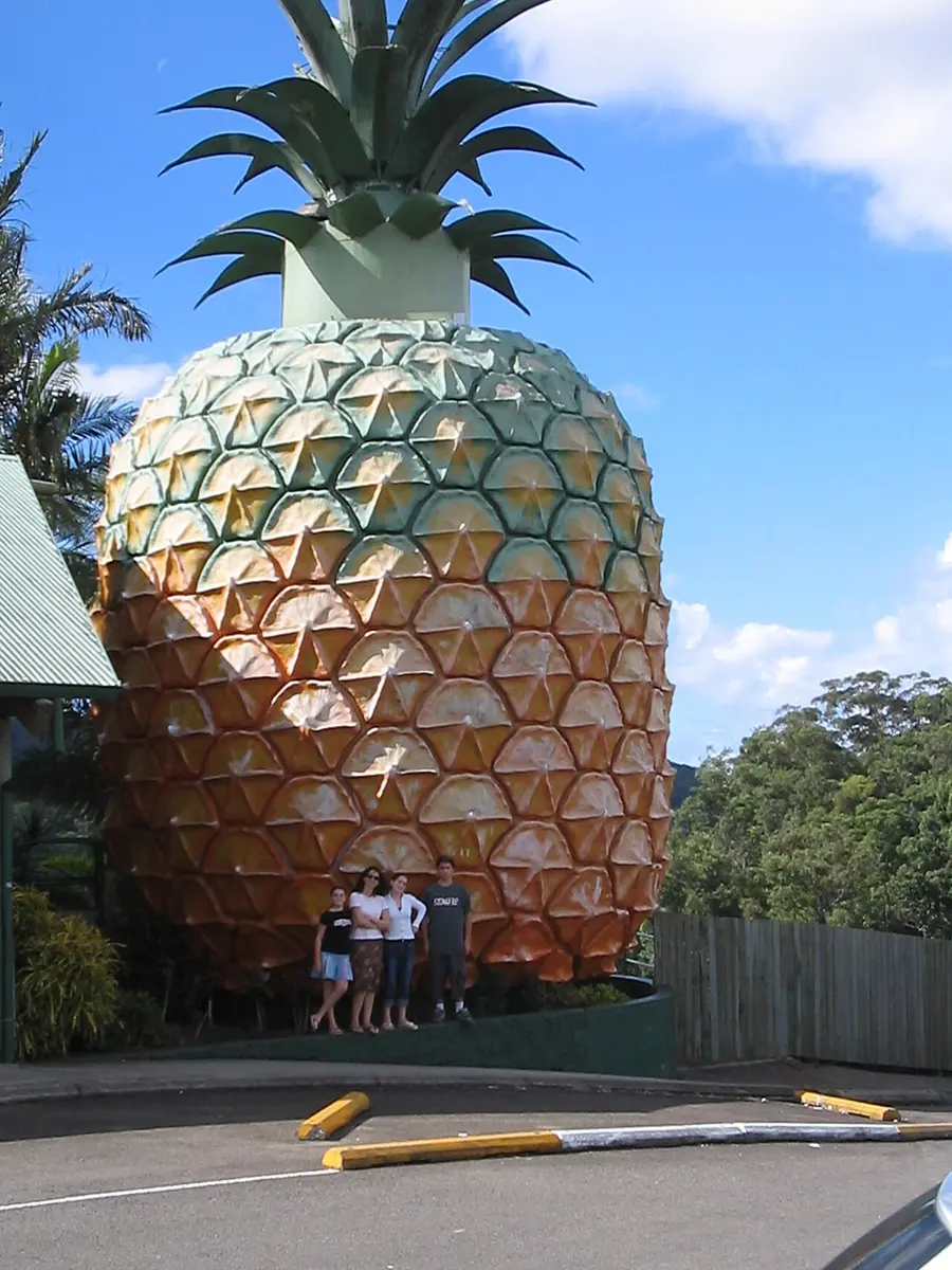 Big Pineapple