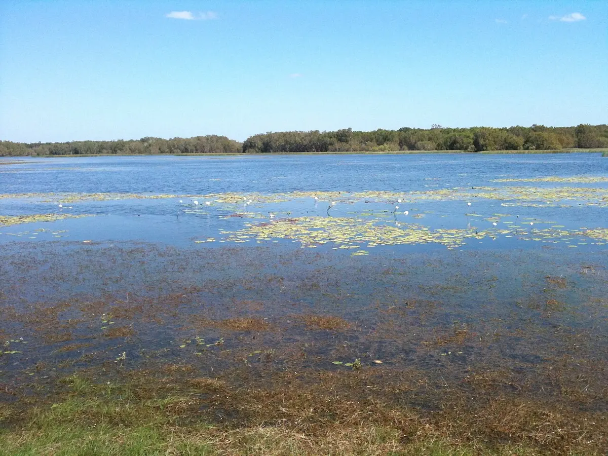 Rinyirru (Lakefield) National Park (Cape York Peninsula Aboriginal Land)