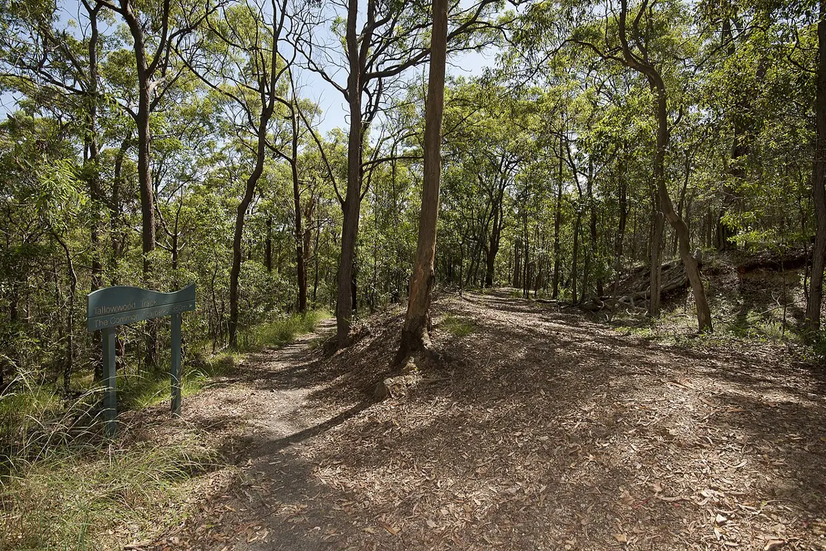 Whites Hill Reserve