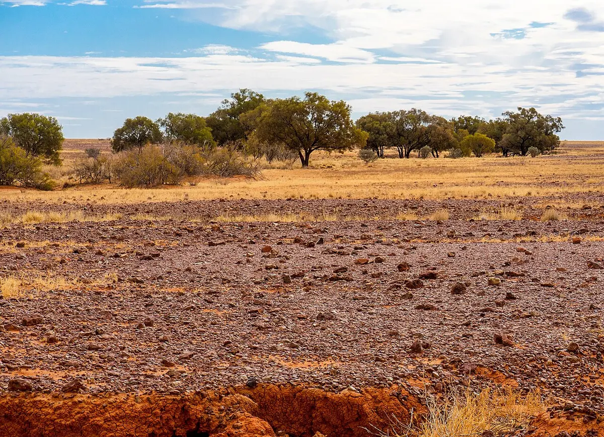 Diamantina National Park