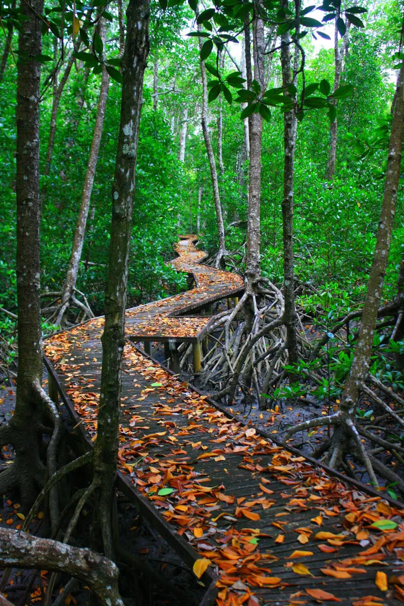 Great Barrier Reef Marine Park