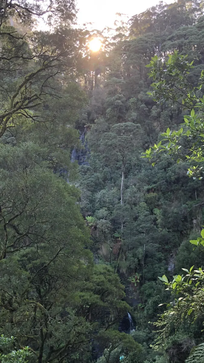 Sabine Falls