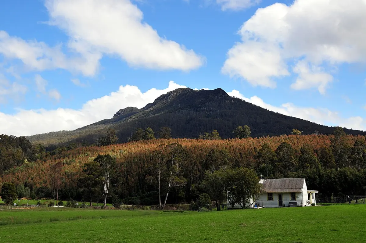 Quamby Bluff