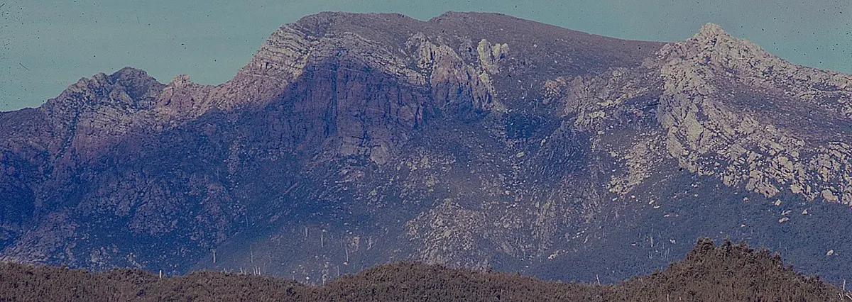 Mount Jukes