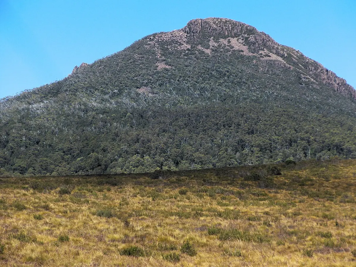 Mount Pitt