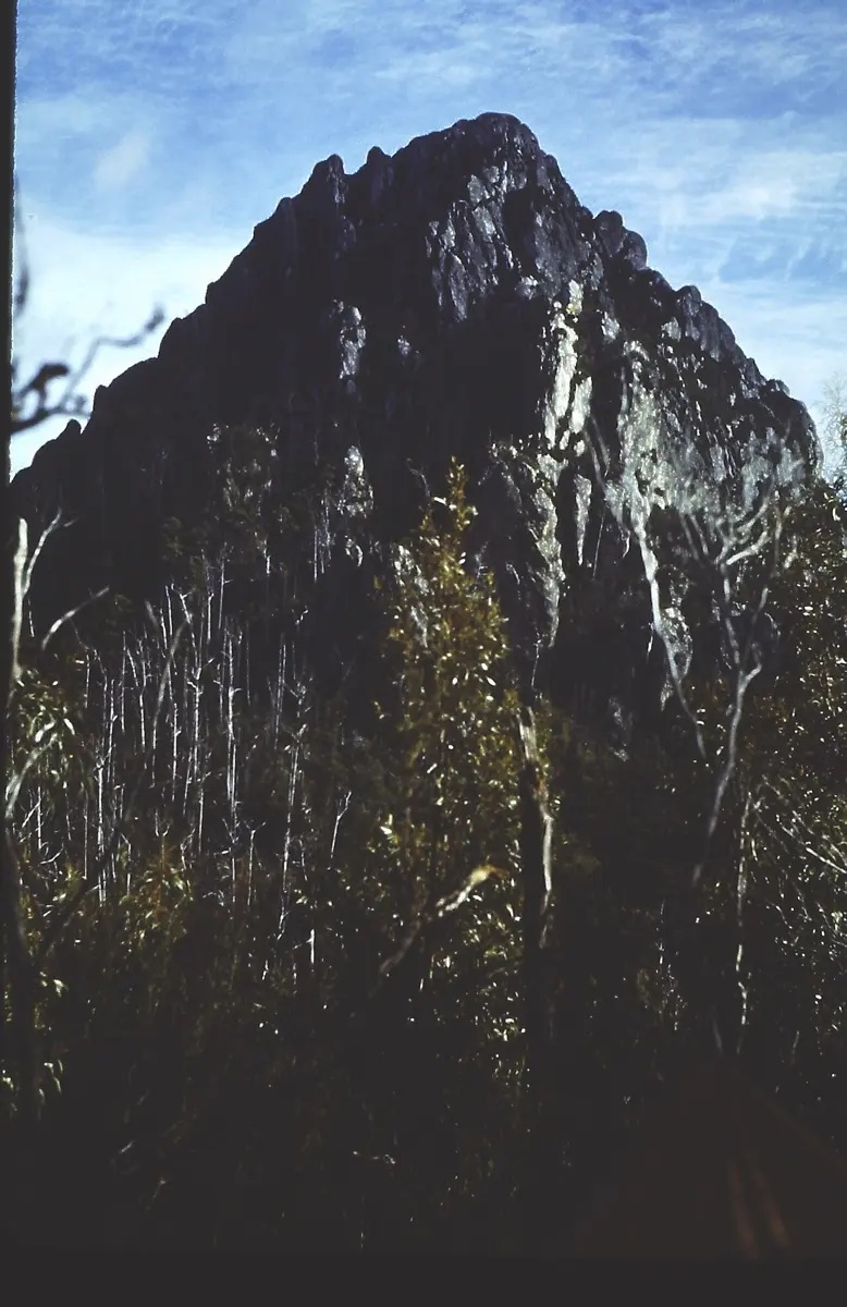 North Star