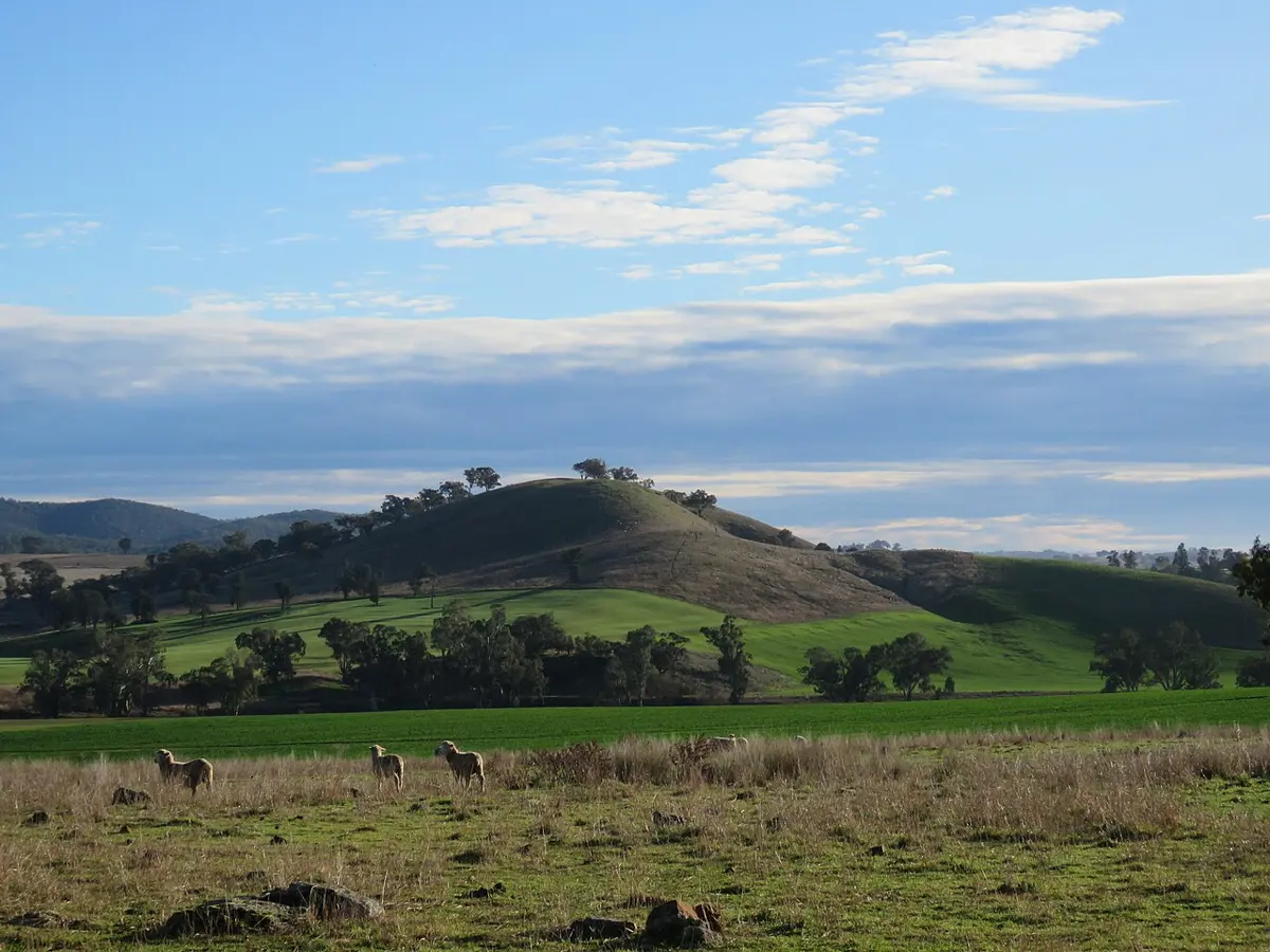 Bald Hill