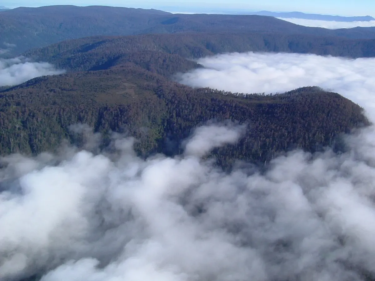 Mount Misery
