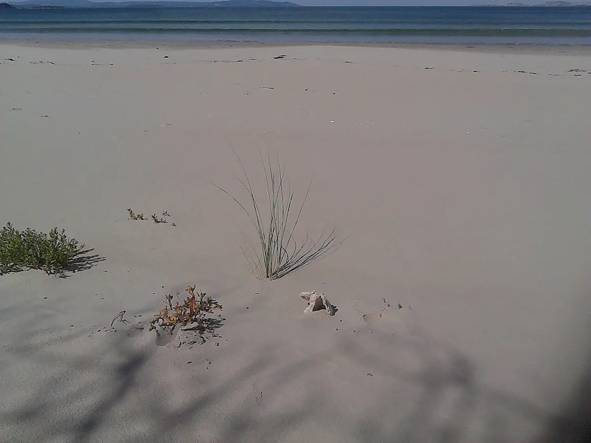 Seven Mile Beach