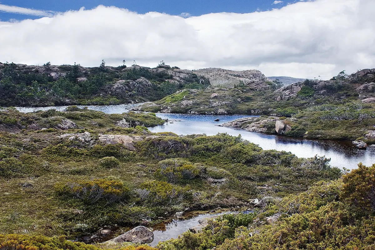Mount Field National Park