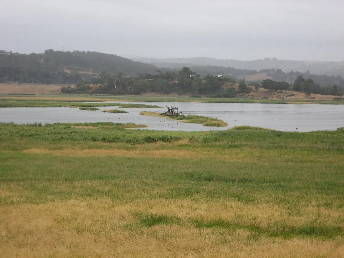 Tamar Conservation Area