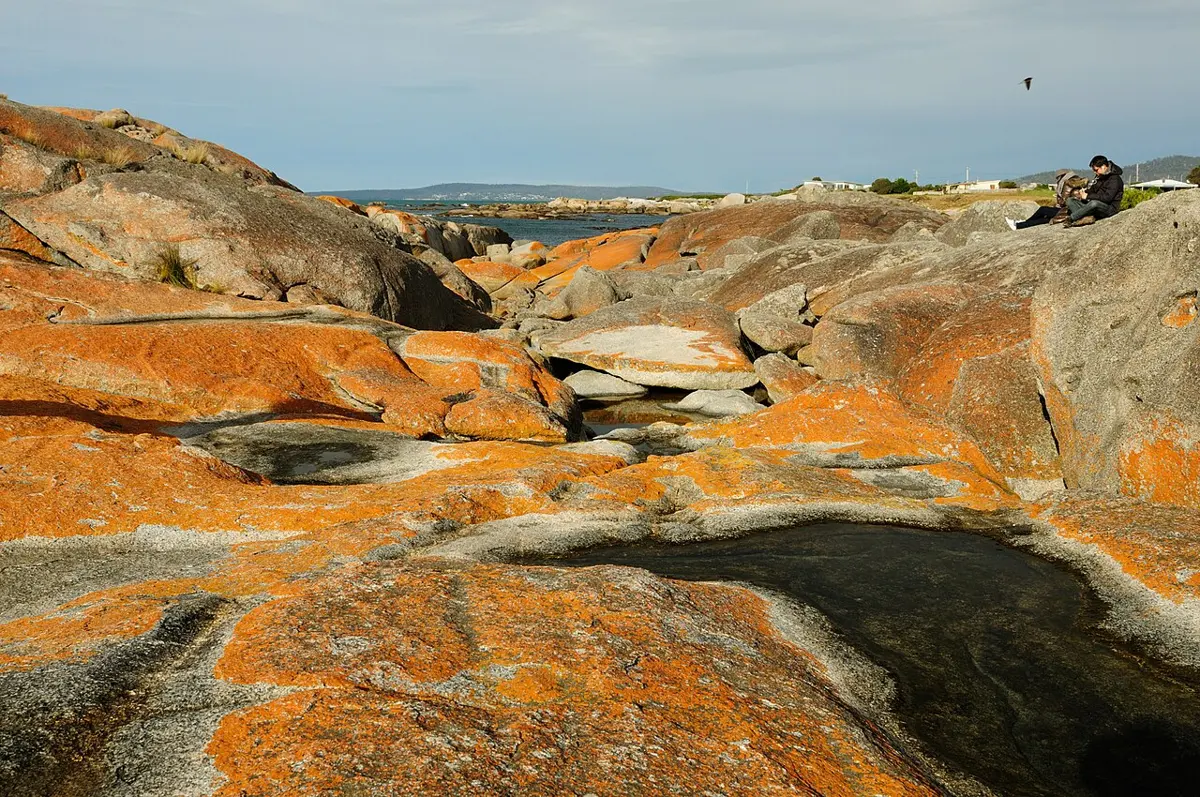 Bay of Fires Conservation Area