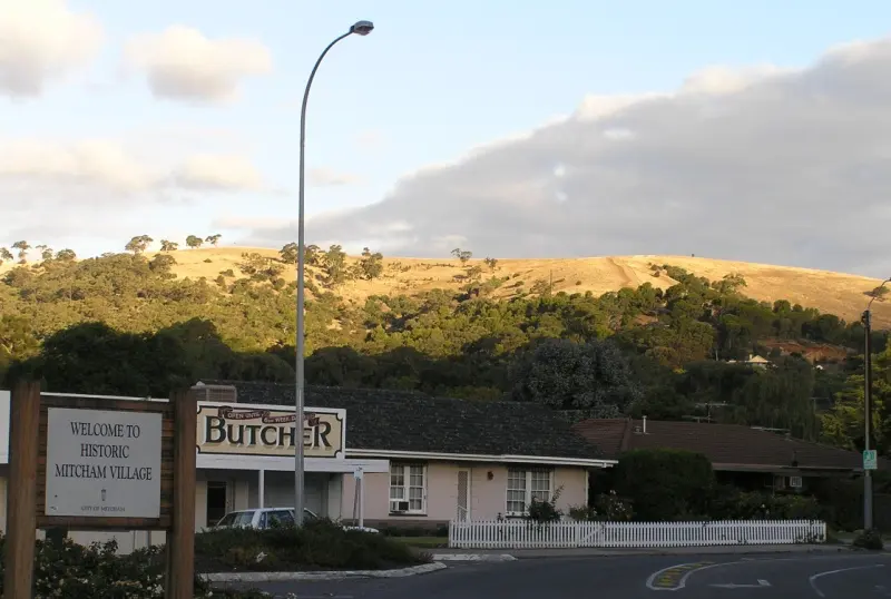 Brown Hill