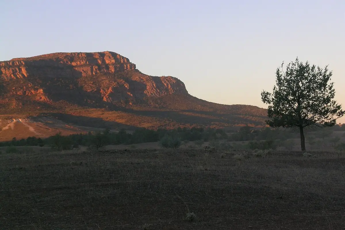 Ikara-Flinders Ranges National Park