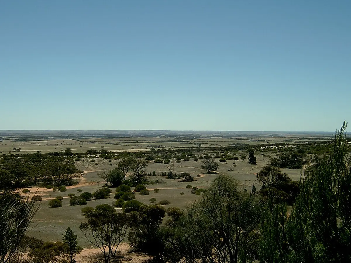 Caralue Bluff Conservation Park