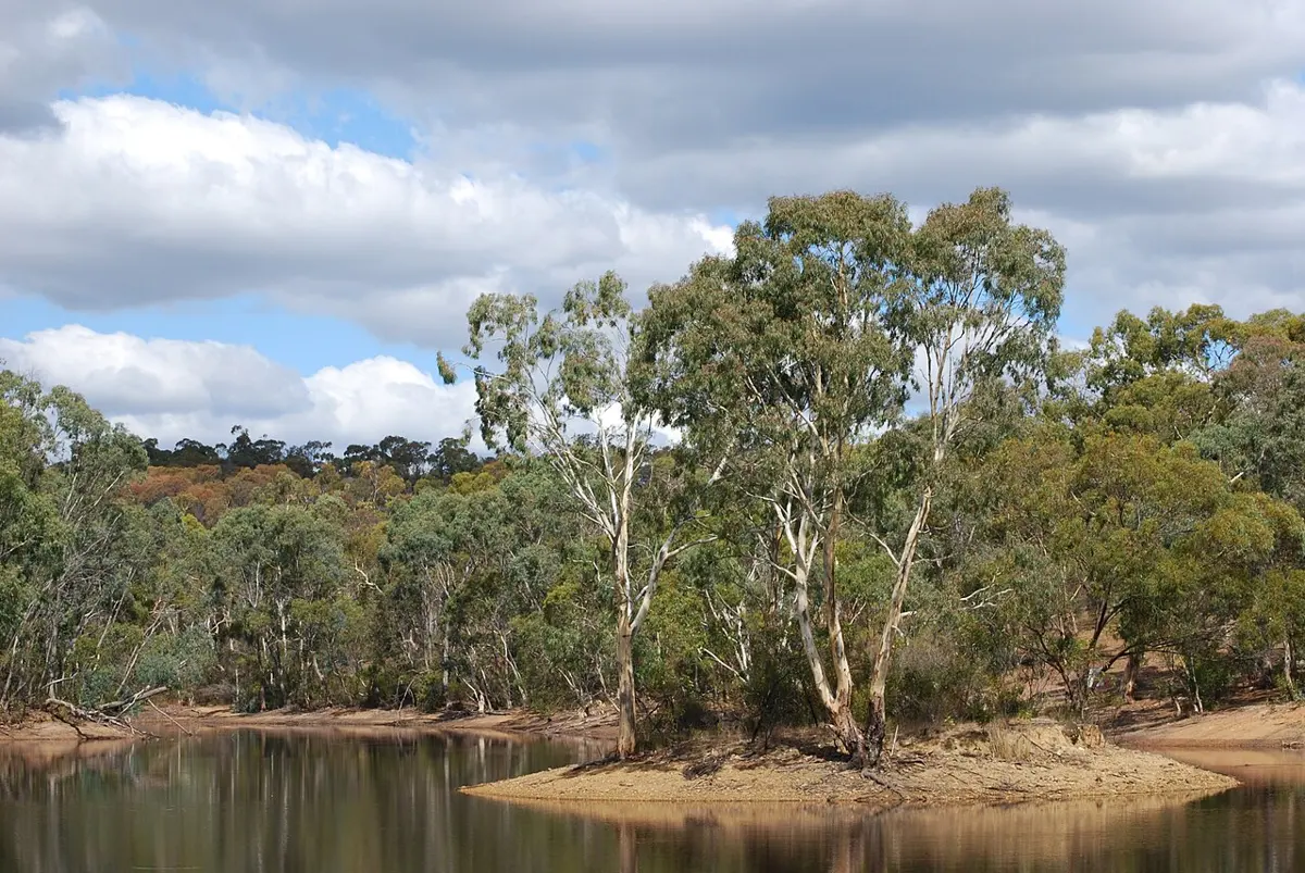 Para Wirra Conservation Park