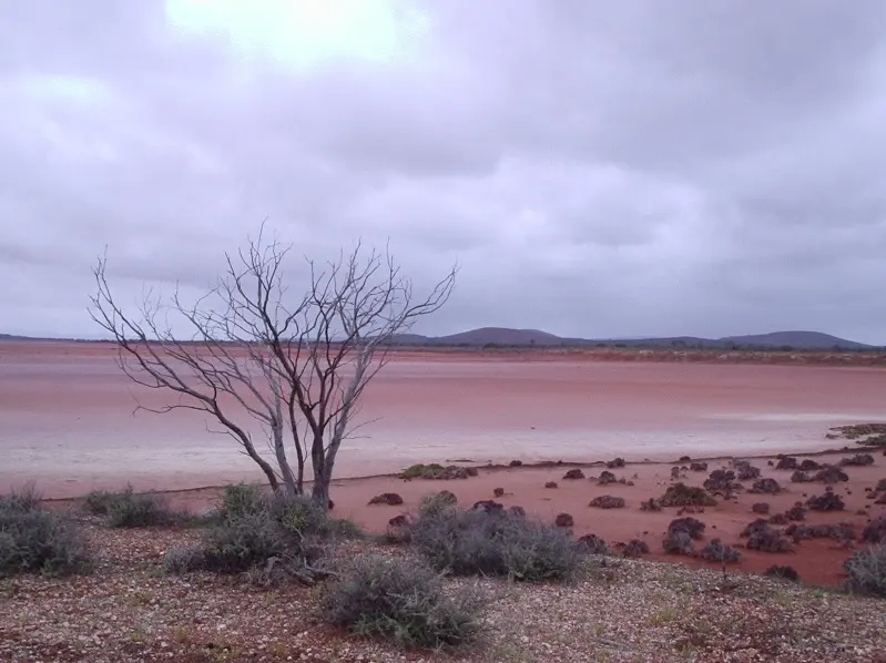Lake Gairdner National Park