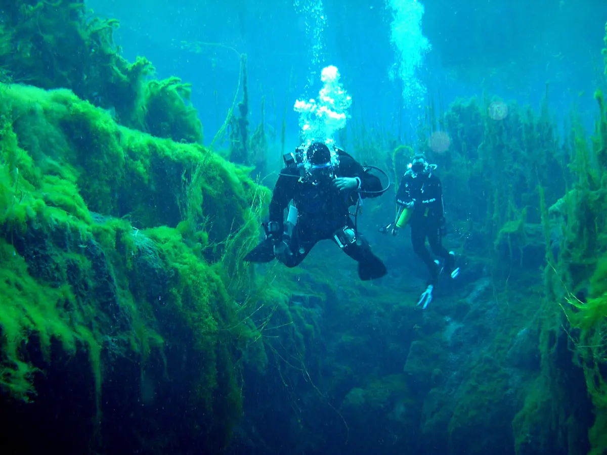 Piccaninnie Ponds Conservation Park