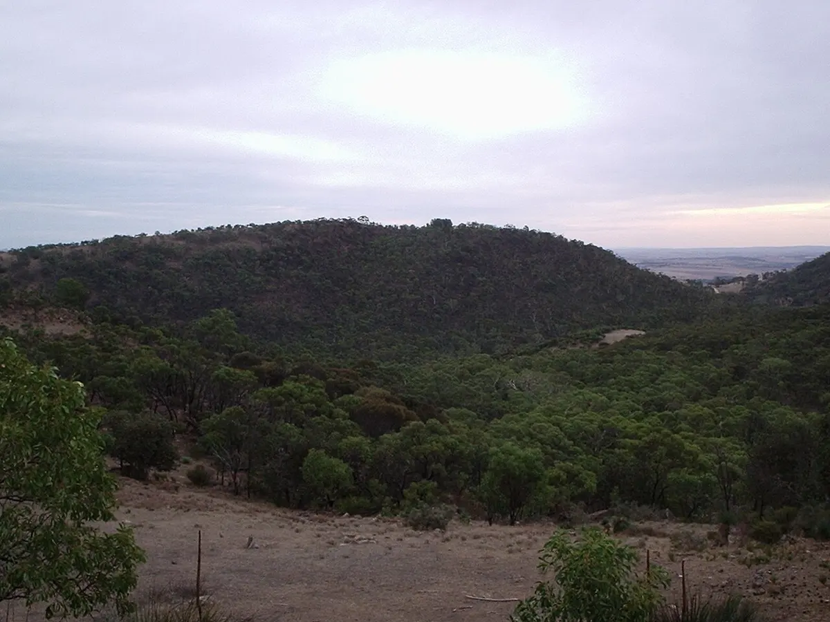 Kaiserstuhl Conservation Park