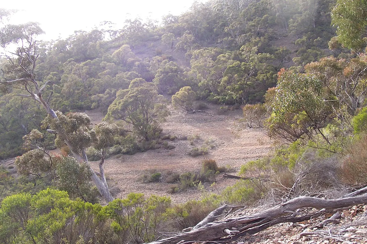 Mount Remarkable National Park
