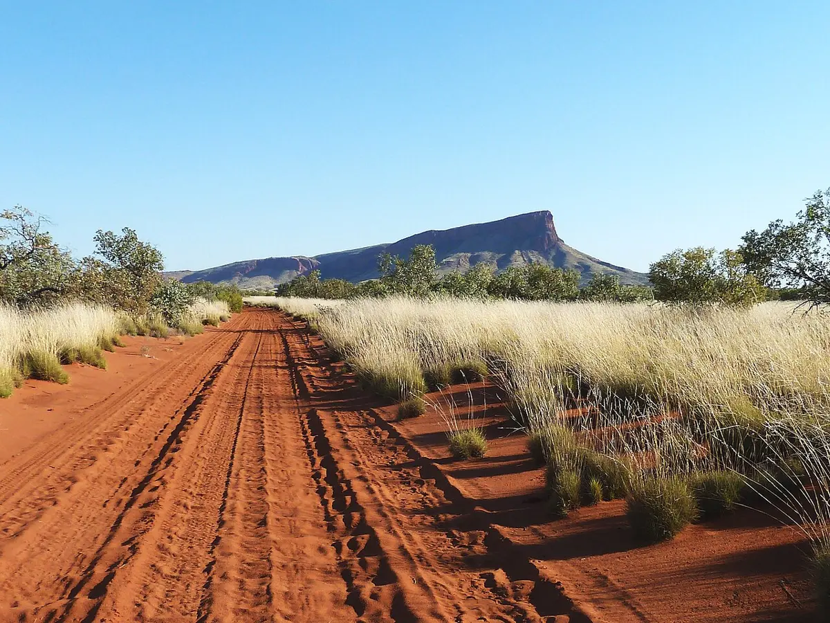 Mount Leisler