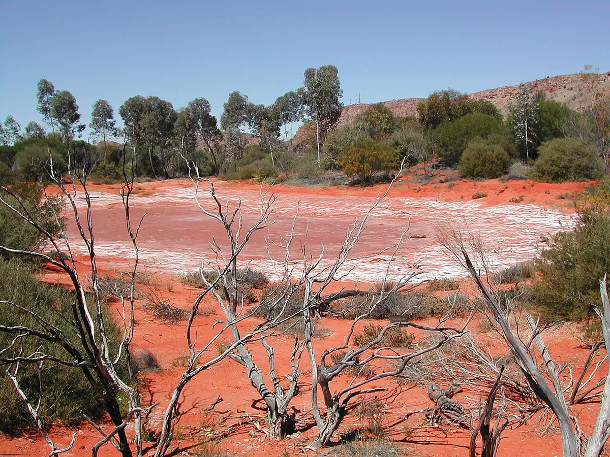Alice Springs Desert Park
