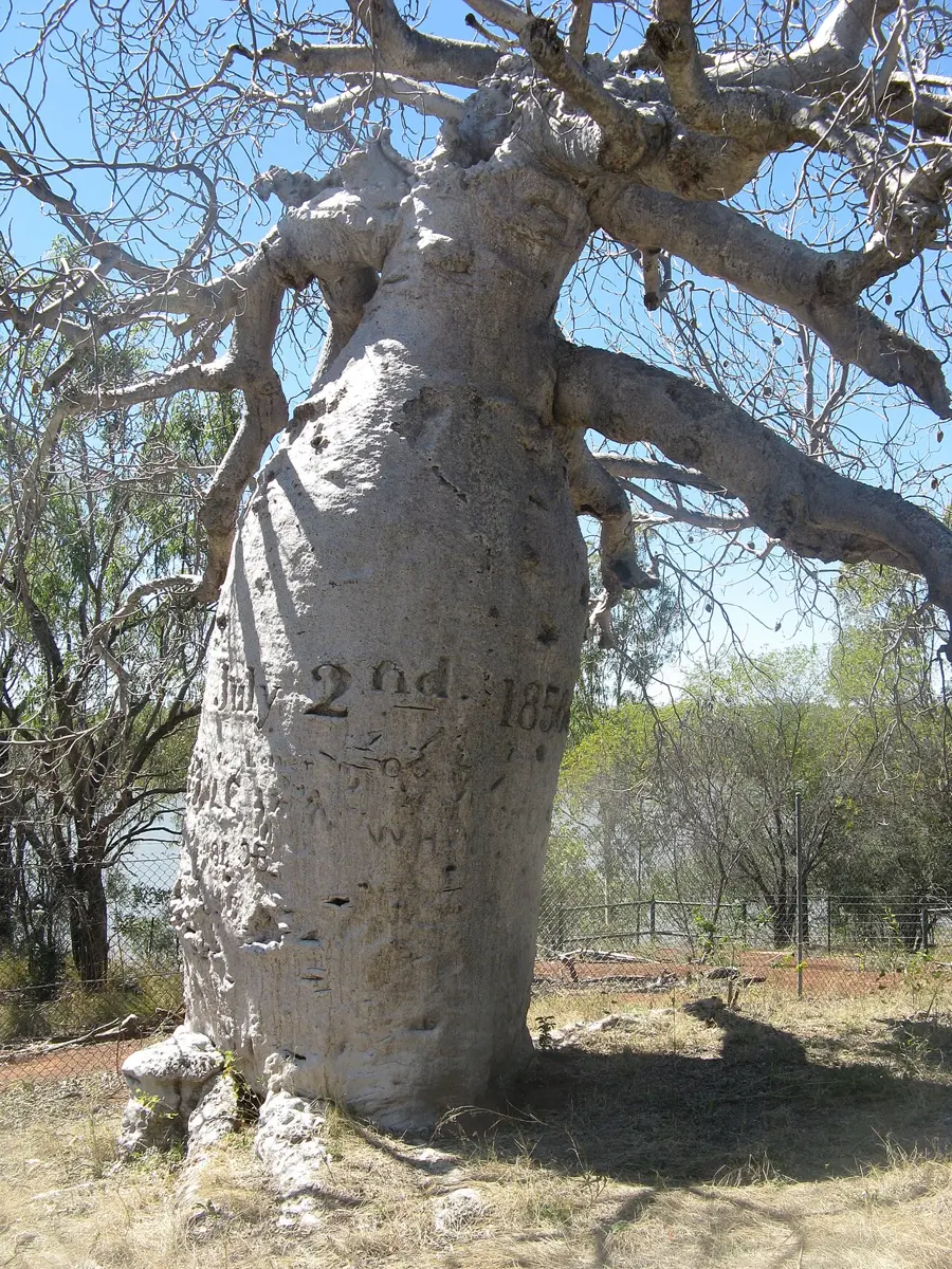 Judbarra / Gregory National Park