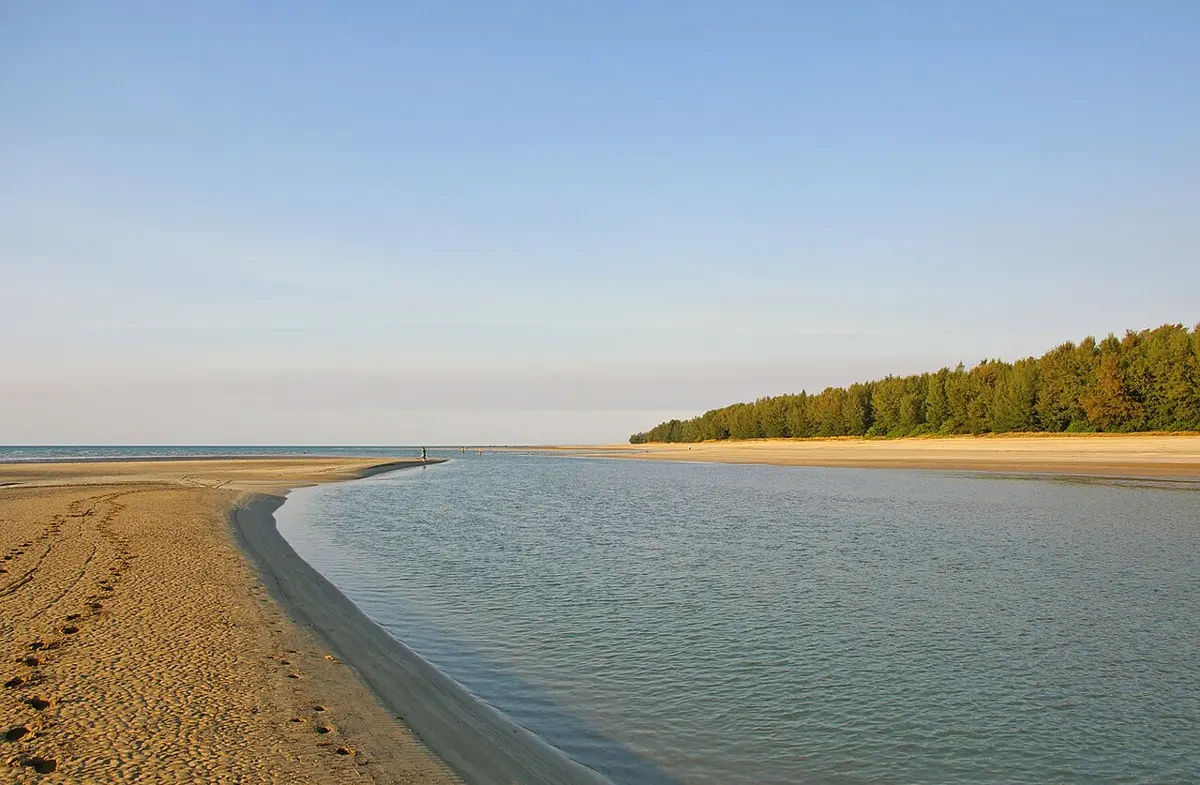 Casuarina Coastal Reserve