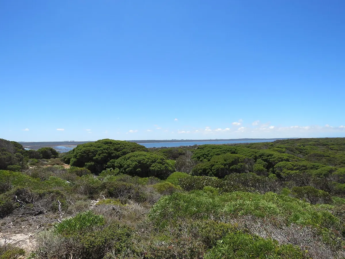Jerdacuttup Lakes Nature Reserve