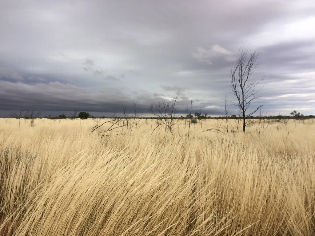 Gibson Desert Nature Reserve