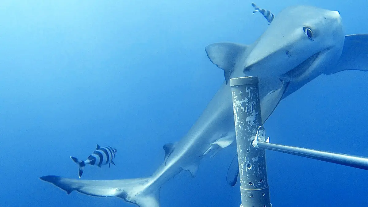 Bremer Marine Park