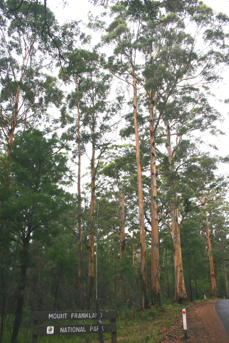 Mount Frankland National Park