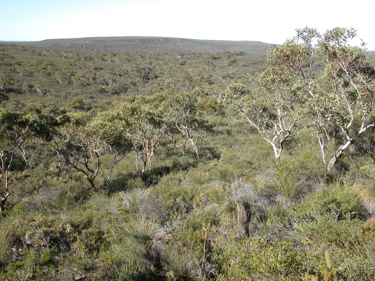 Lesueur National Park