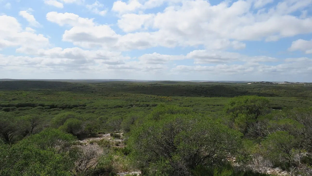 Southern Beekeepers Nature Reserve