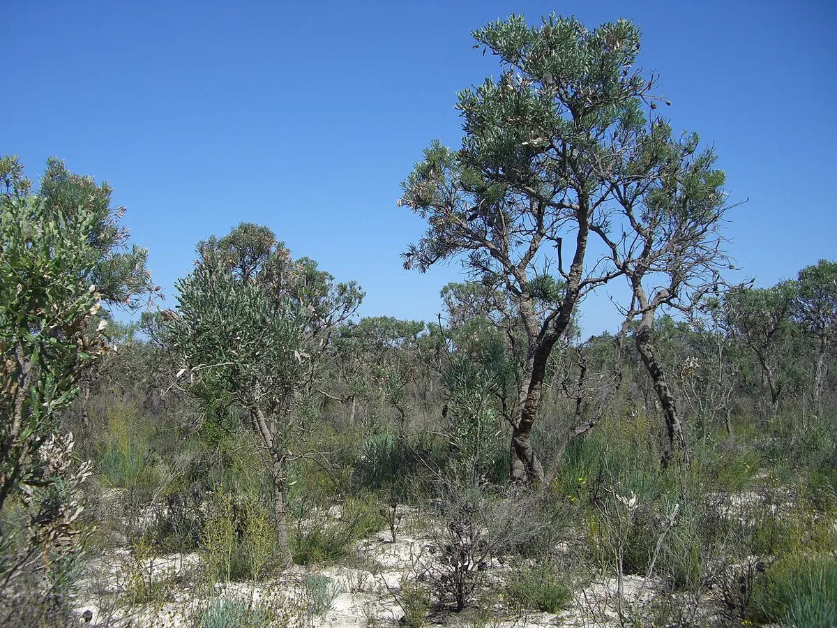 Moore River National Park