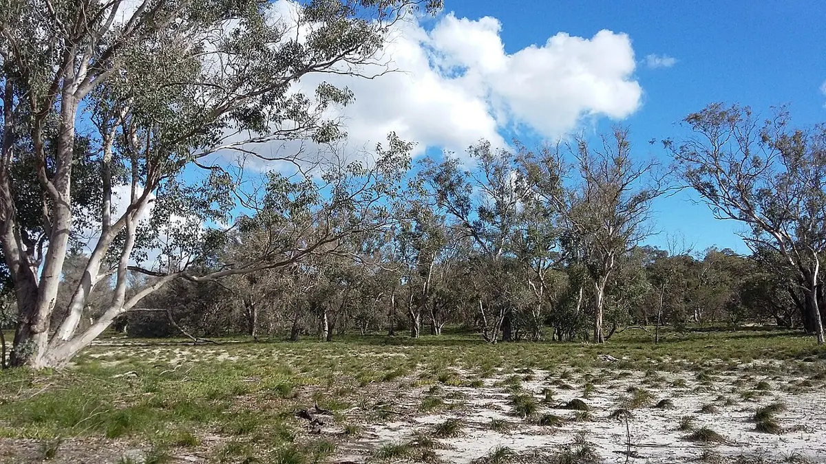 Thomsons Lake Nature Reserve