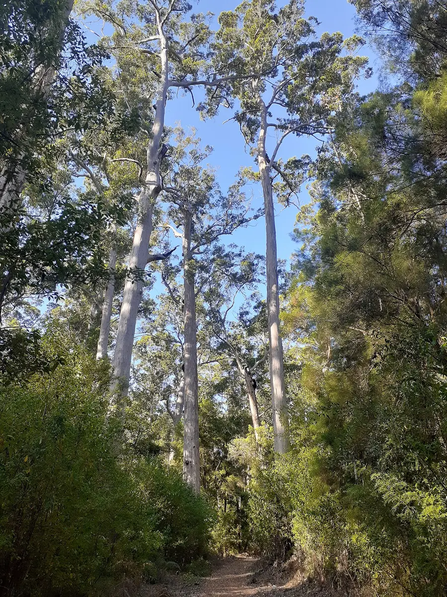 Warren National Park