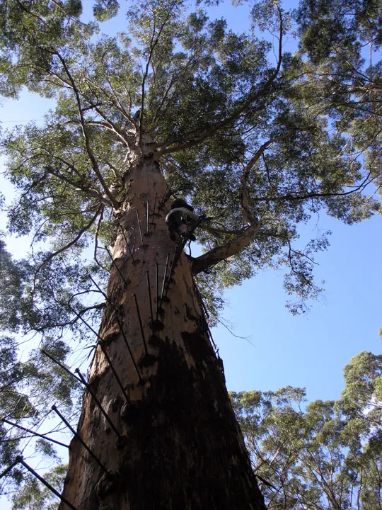 Gloucester National Park
