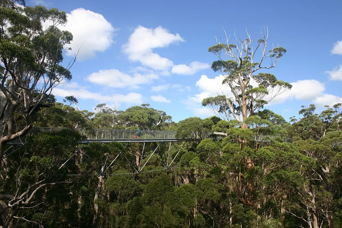 Walpole-Nornalup National Park