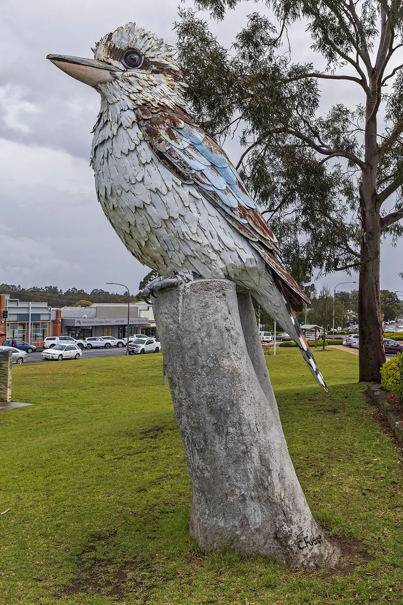 The Big Kookaburra